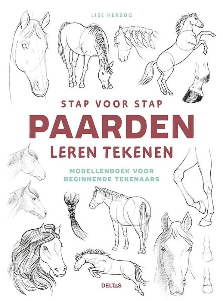 Lise Herzog Stap voor stap paarden leren tekenen: Modell (Paperback) (UK IMPORT)