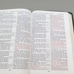 Rare Kenneth Hagin Ministries Rhema KJV Study Bible Calfskin Green by Cambridge