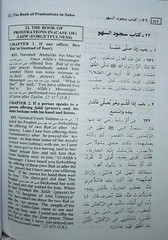 Summarized Sahih Al Bukhari Large Size