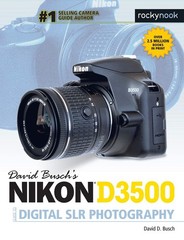 David Busch’s Nikon D3500 Guide to Digital SLR Photography (The David Busch …
