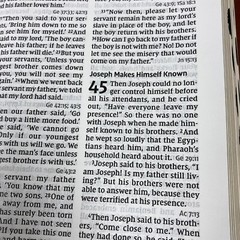 NIV Large print Reference Bible – 12 point font – Red letter – Thumb-indexed