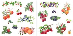 Bunches of Botanicals Sticker Book (Over 500 stickers!) – NEW