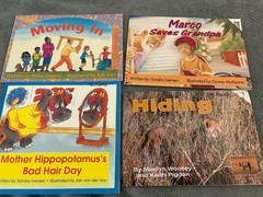 Lot Of 23 Emergent Readers, The Wright Group, Faiundational Series