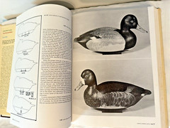 Game Bird Carving Tools Techniques Bruce Burk Vintage Book 1972 HC DJ Decoy