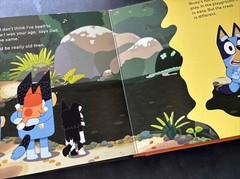 BLUEY Board Books -Set of 2 – The Beach / The Creek – Puffin 2018 – As New Cond.