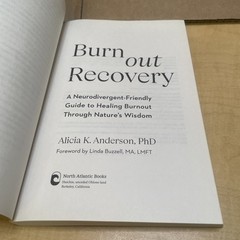Burnout Recovery by Alicia King Anderson Paperback