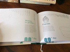 365 DAYS OF DRAWING By Lise Herzog – Hardcover Like New