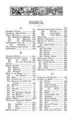 1895 Mrs. Wilkinson’s cookery Vintage Cook Book 172 Pages
