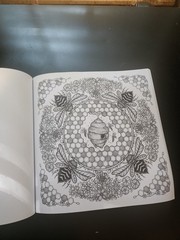 Nature Mandalas Coloring Books, A Coloring Meditation, by Chatzipanagiotou