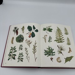 [80% Full] The Forests, Fairies and Fungi Sticker Anthology Book 1,000+ Stickers