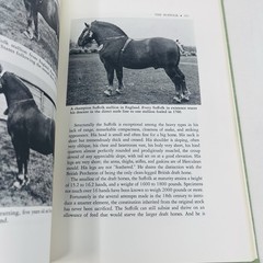 Gentle Giants Story of Draft Horses Stanley M. Jepsen 1973 HC 2nd Print Photos