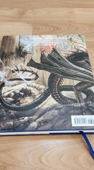 Harry Potter & The Goblet of Fire Illustrated by Jim Kay Hardcover 2019 NEW