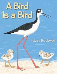 A Bird Is a Bird – Hardcover, by Rockwell Lizzy – Very Good b