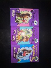Vacation At Sunshine farm Books -Andrea Wandel Lot Of Books