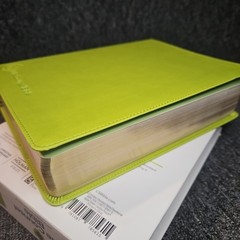 CSB Life Counsel Bible, Apple Green LeatherTouch