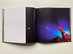 Pearl Jam – Place/Date – The Official Photographic Record – Bildband 1999