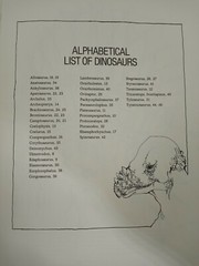 Vintage The Dinosaur Coloring Book by Anthony Rao Dover Publishing 46 Pgs 1980.