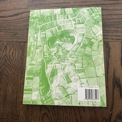 The Glastonbury Zodiac Key to the Mysteries of Britain Mary Caine Softcover
