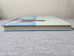Island Beauty Hardcover India Hicks Hardcover