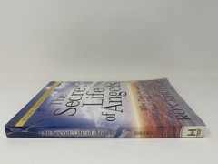The Secret Life of Angels : Who They Are and How They Help Us by Ron Rhodes NEW!