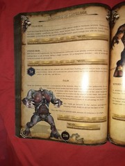 Two Worlds–The Official Strategy Guide 368 PAGES