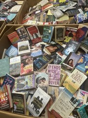 10 Pound Book Lot: Choose Your Genre-Fiction Nonfiction Kids Self-Help History
