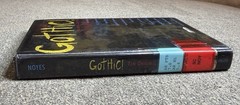 Gothic! Ten Original Dark Tales HC Deborah Noyes YA Horror Anthology