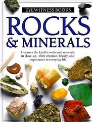 Rocks & Minerals by Dorling Kindersley Ltd