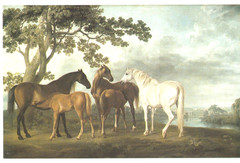 HORSE PAINTINGS: A Book of 30 Postcards By Pavilion Books, Famous Artists