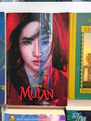 Lot of 10 Young Adult YA Books – Teen Fiction Novels Mixed Genres Bulk Lot