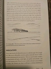 The Lost Art of Reading Nature’s Signs: Use Outdoor Clues to Find Your Way…