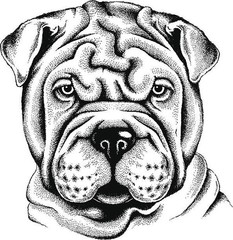 Dogs coloring book for all ages Pets Series 108 Pages 8.5 x 11 for All Ages