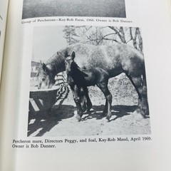 Gentle Giants Story of Draft Horses Stanley M. Jepsen 1973 HC 2nd Print Photos