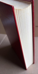 Stephen King Library Collection Tommyknockers Red Leather Book 1987 Putnam