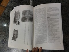 Brazil 1985 Collection of Paleontological Works in Portuguese Many Fossil Photos