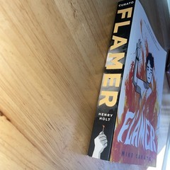 Flamer by Mike Curato (2020, Trade Paperback) Pre-read