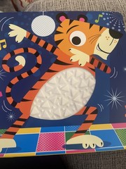 Never Touch a Tiger! by Rosie Greening (2020, Children’s Board Books)