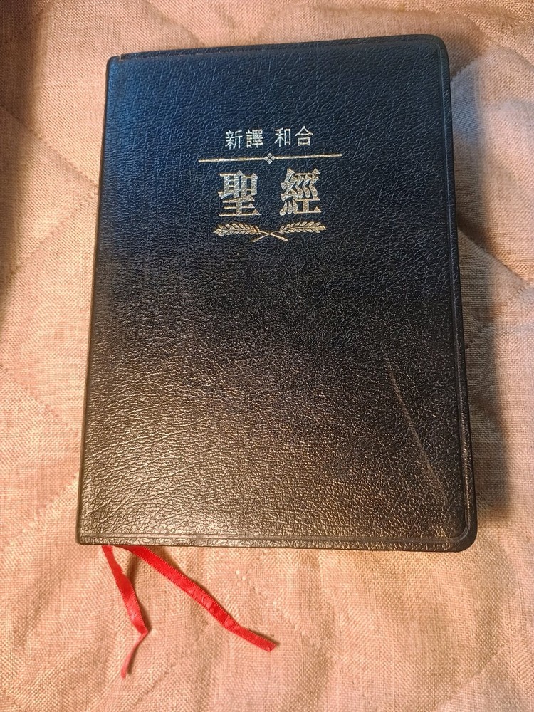 新譯和合聖經 New Chinese Version Union Parallel Bible Worldwide Bible Society