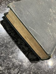 RARE 1891 BOOK OF MORMON 3RD ELECTROTYPE EDITION GEORGE Q CANNON & SONS HC LDS