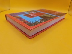 Small Steps by Louis Sachar – 1970 – First edition – 2006 Hardcover Book