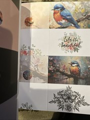 PAPER PAPER PAPER The Floral Riot COLLECTION BOOK 180 Pages Create Craft 2025