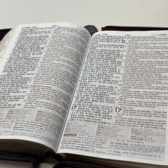NIV Bible English/Korean Study Bible Brown Zipper-Red Letter Word of Life Press