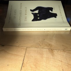 Genki Kawamura If Cats Disappeared from the World Flatiron Paperback Fiction