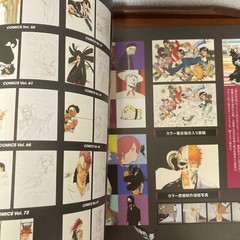 Bleach EX 20th Anniversary Exhibition Art Book THE BRAND NEW BLACK Illustration
