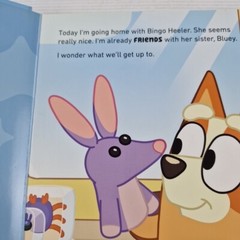 Bluey 4 Book Bundle The Creek, The Beach, Fruit Bat, Bob Bilby Hardcover