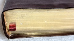 The Net Bible • New English Translation • (2005 • Bonded Burgundy Leather) Good