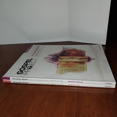 Lifeway Gospel Project Daily Discipline Guide Bible Study Large Print Vol 6 & 7