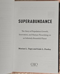 Superabundance: The Story of Population Growth, Innovation, and Human Flourishin