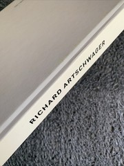 Richard Artschwager : The Hydraulic Door Check (2002, Hardcover) : VGC