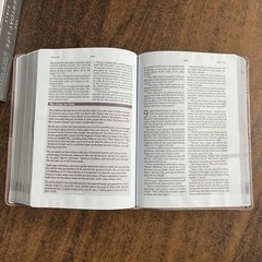 Amplified Joyce Meyer Everyday Life Study Bible – Blush LeatherLuxe